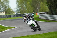 Lower Group White Bikes